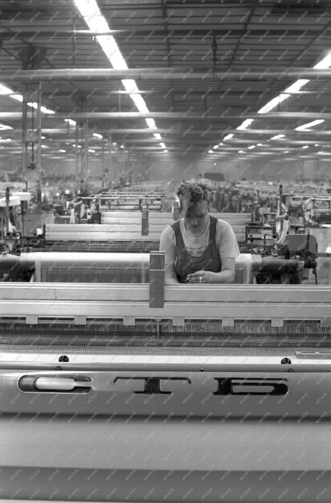 Feldolgozóipar - BUDAPRINT PANYOVA Kelenföldi Textilgyára 