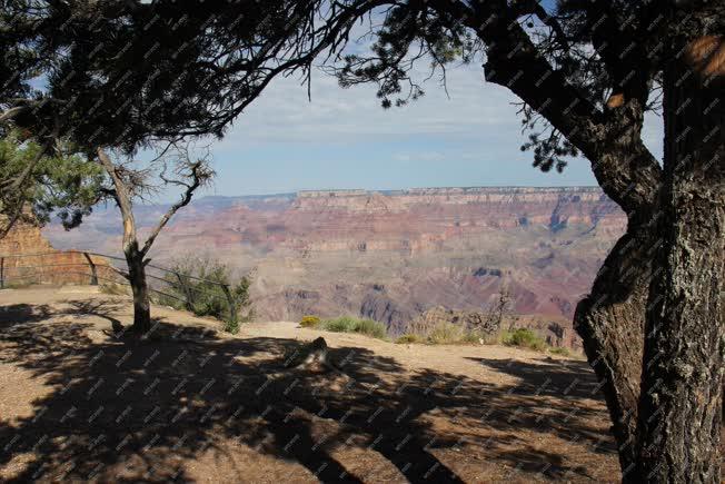 Tájkép - A Grand Canyon látképe