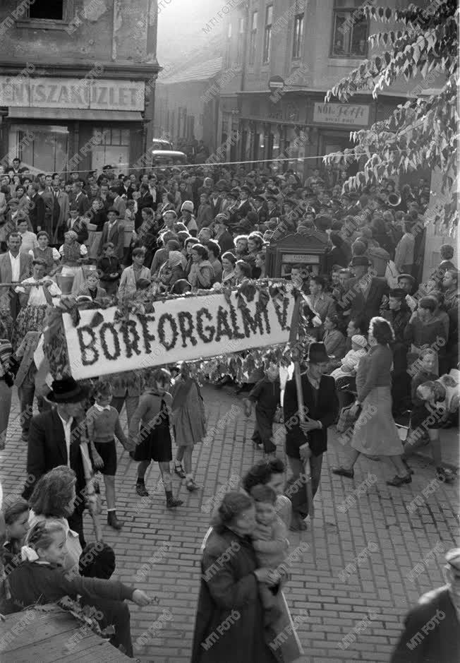 A szerző válogatása - Szüreti bál Egerben