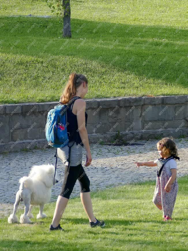 Életkép - Budapest - Gyermek és kutya a parkban