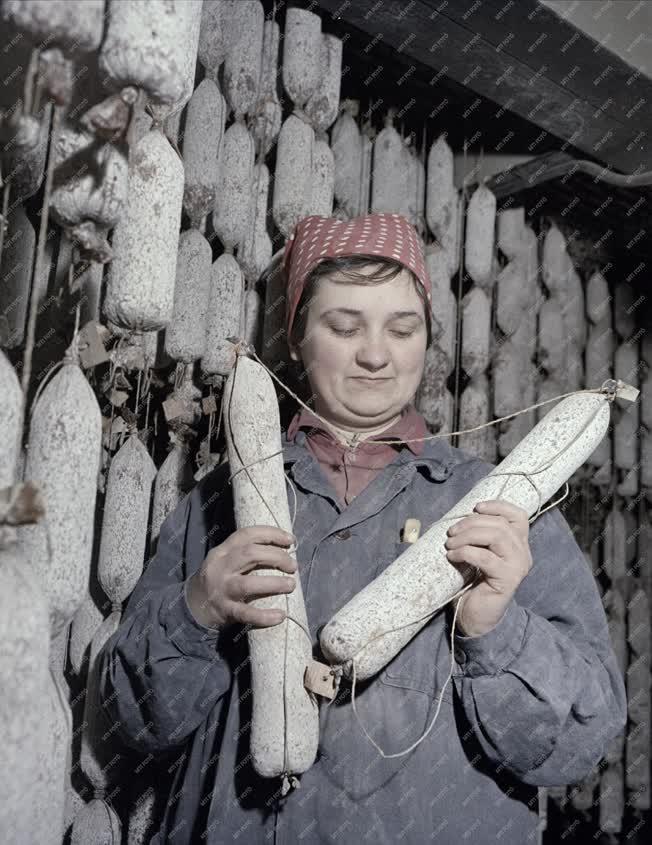 Élelmiszeripar - Szegedi Szalámigyár