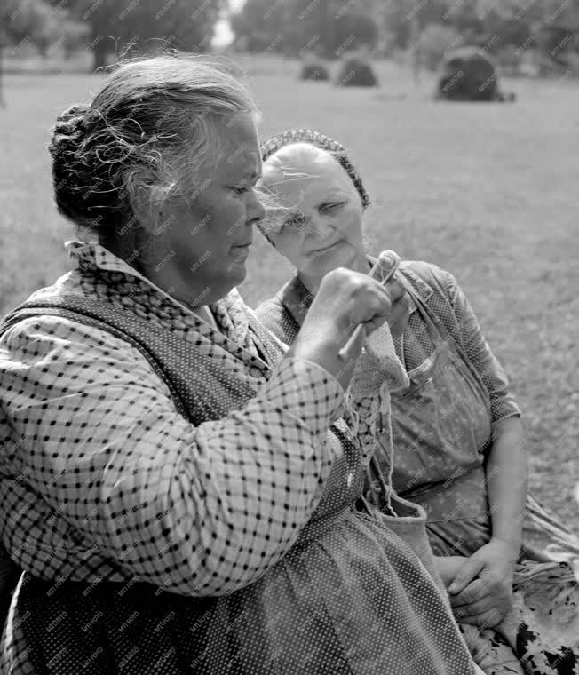 Társadalmi kérdés - Szociális otthon a Grassalkovich-kastélyban