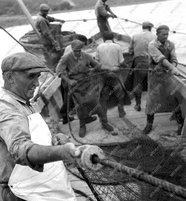 Kezdődik a balatoni őszi halászati szezon