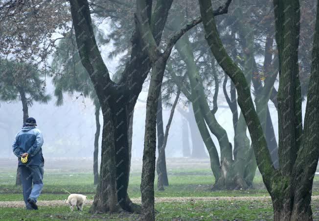 Időjárás - Budapest - Ködös téli reggel a parkban