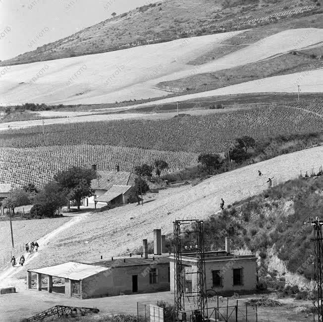 Tokaj