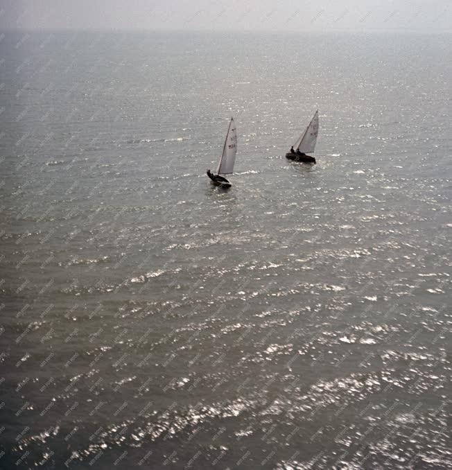 Tájkép - Vitorlások a Balatonon