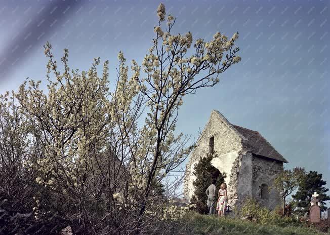 Magyar tájak - Tavasz a Balatonon