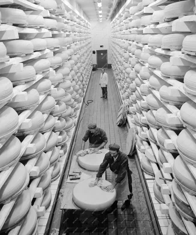 Ipar - Érik a sajt