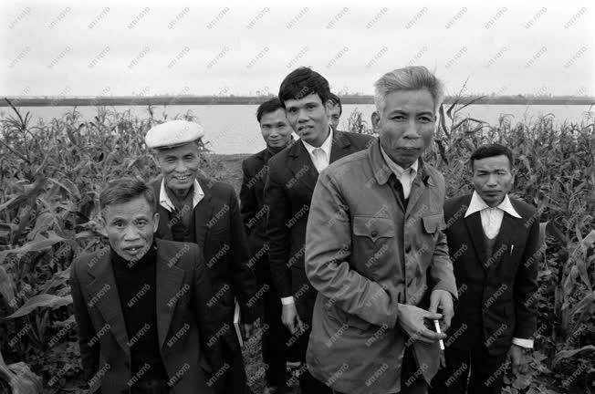 Képek a Vietnámi-Magyar Barátság Tsz életéből