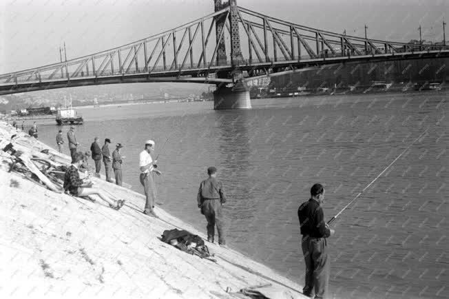 Szabadidő - Sport - Horgászok a Szabadság hídnál