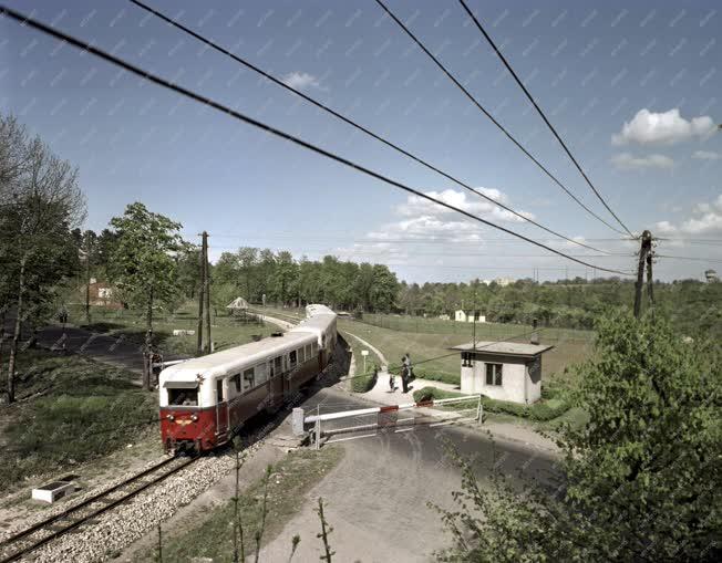 Közlekedés - Úttörővasút a Budai-hegységben