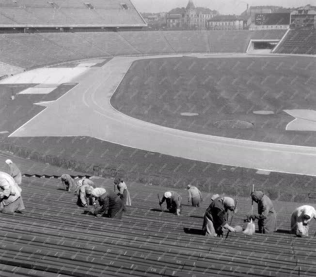 Sportlétesítmény - Népstadion