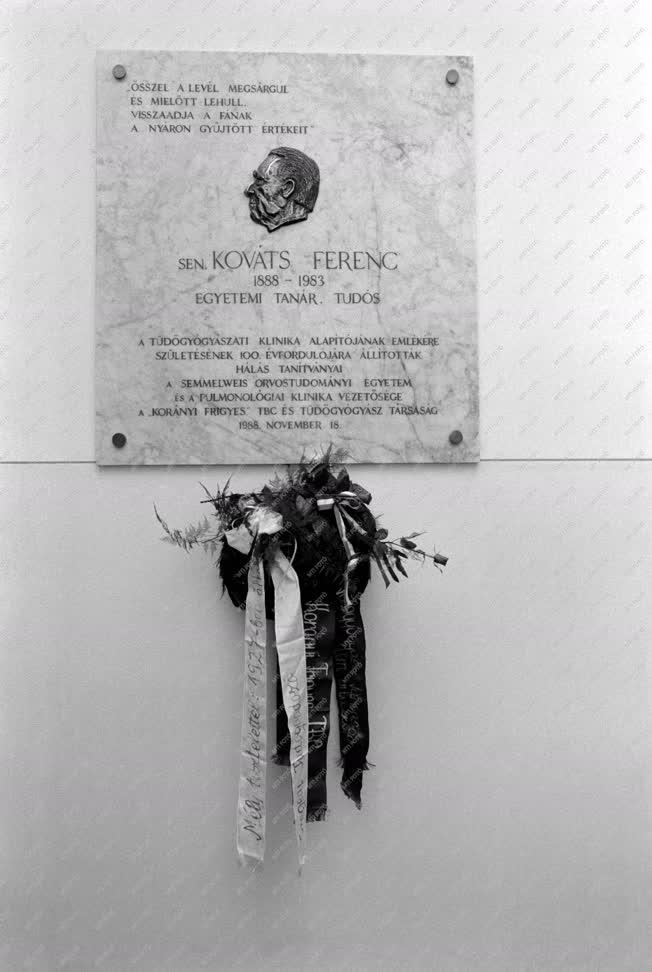 Emlékmű - Dr. Kováts Ferenc emléktáblájának felavatása