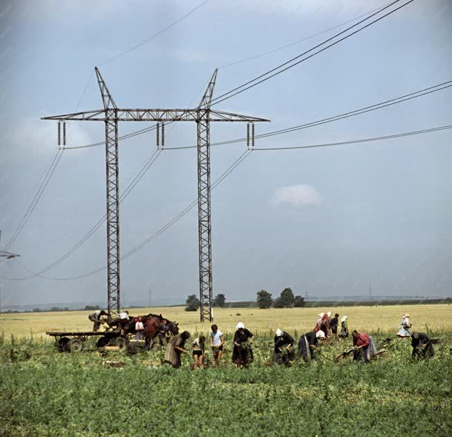 Energia - Magasfeszültségű villamos távvezeték