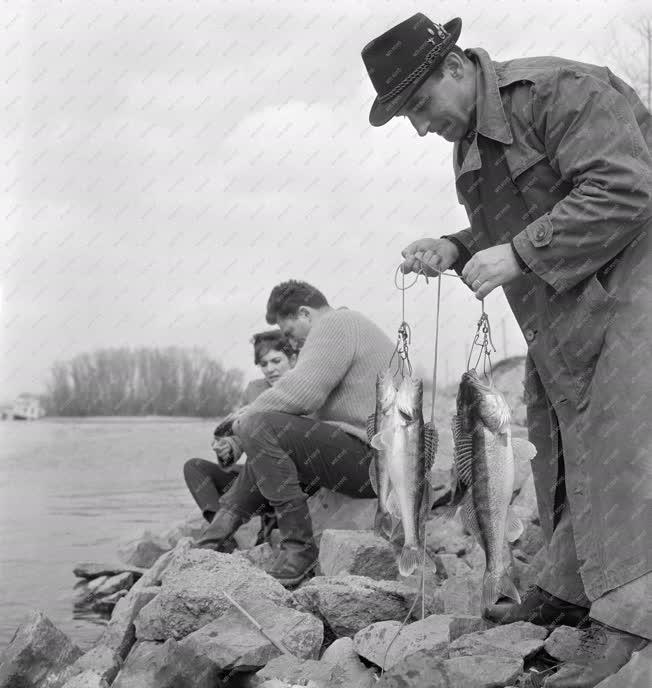 Hobbi - Horgászat