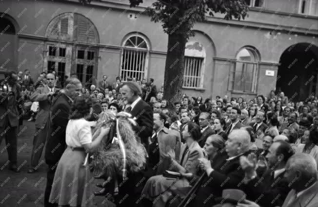 Kultúra - Koncert a Károlyi-kertben