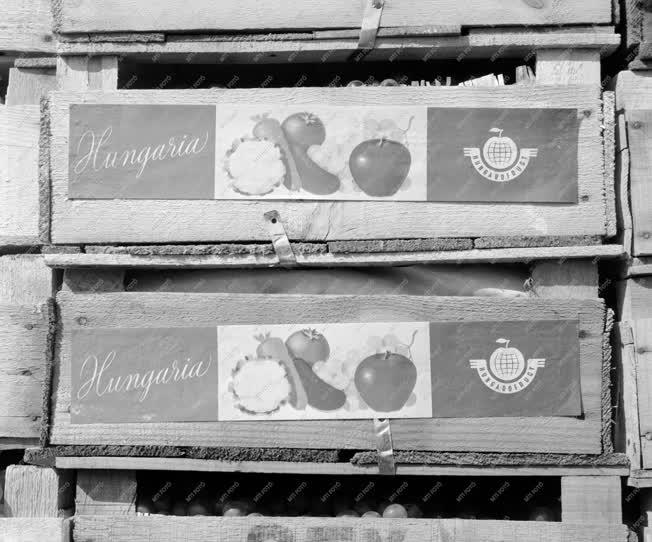 Kereskedelem - Hungarofruct Gyümölcs-Zöldség Exportvállalat