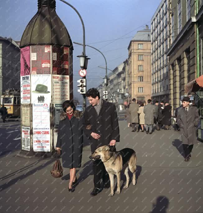 Városkép - Életkép - Budapesti utcán kutyát sétáltató pár