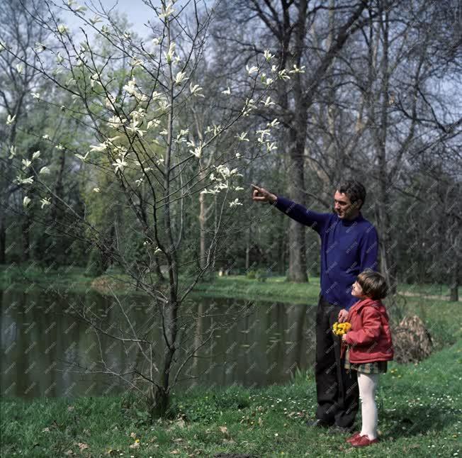 Természet - Életkép - A Vácrátóti Botanikus Kertben