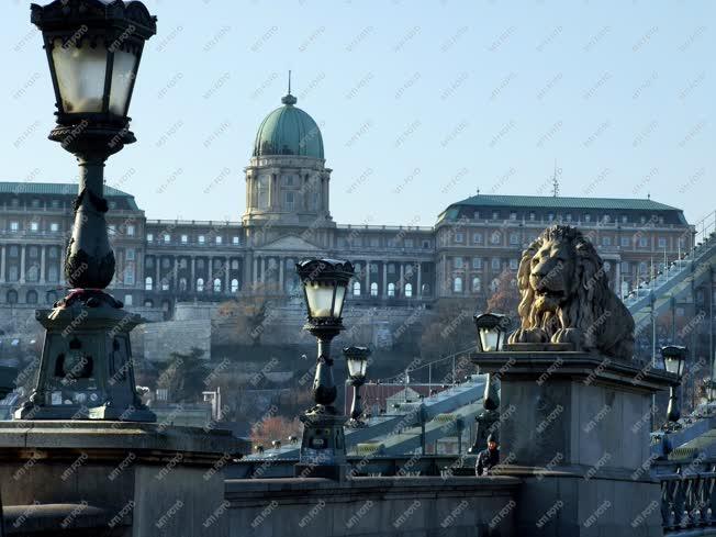 Városkép - Budapest - A Lánchíd egyik kőoroszlánja 
