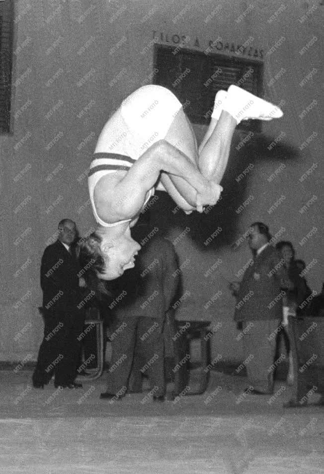 Pataki Ferenc olimpiai bajnok tornász