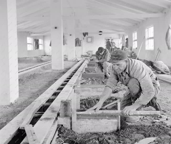Mezőgazdaság - Ipar - Baromfinevelőt építenek Tápiószelén 
