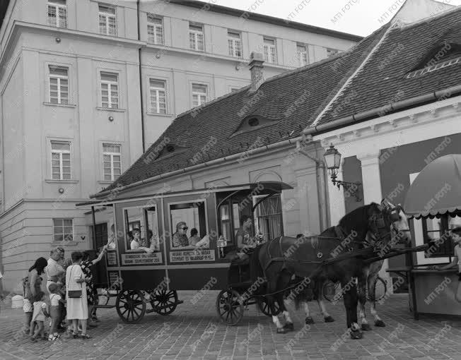 Nosztalgia - Közlekedés - Omnibusz