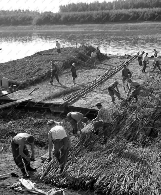 Vízgazdálkodás - Alsó-Tisza Vidéki Vízügyi Igazgatóság