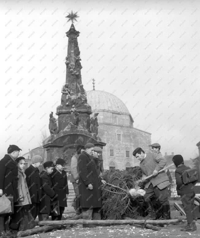 Ünnep - Városkép - Karácsonyfát állítanak a pécsi Széchenyi téren