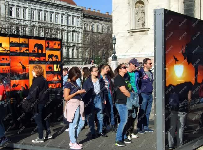 Természetvédelem - Budapest - Máté Bence természetfotó kiállítása