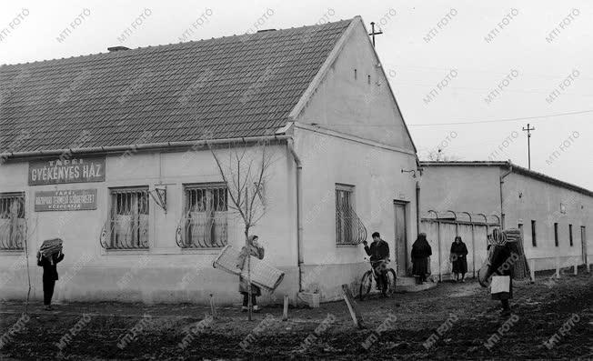 A szerző válogatása - Tápéi gyékényesek