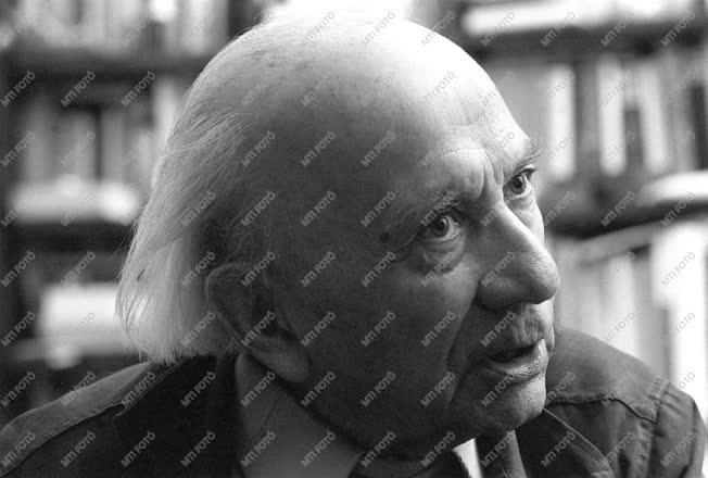Illyés Gyula Kossuth-díjas író