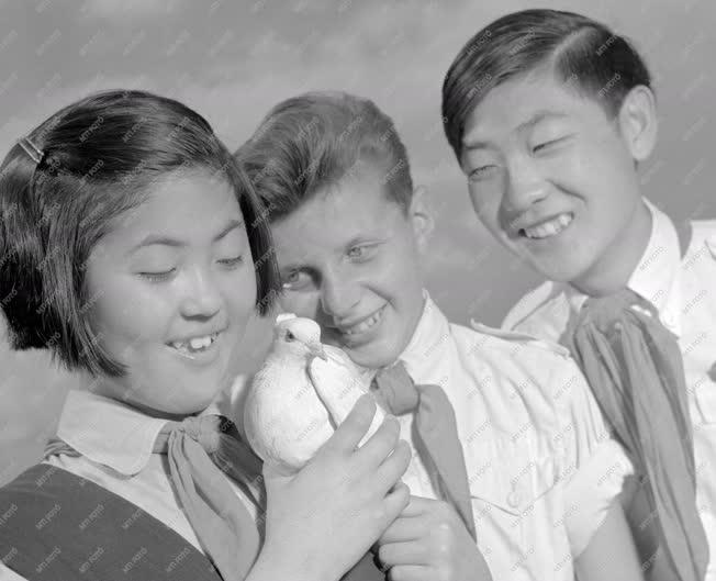 Oktatás - Észak-koreai és magyar diákok barátkozása