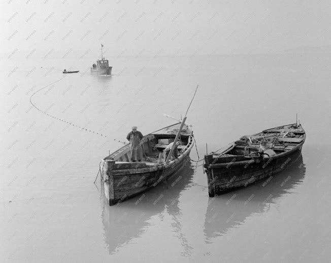 Mezőgazdaság - Balatoni halászat
