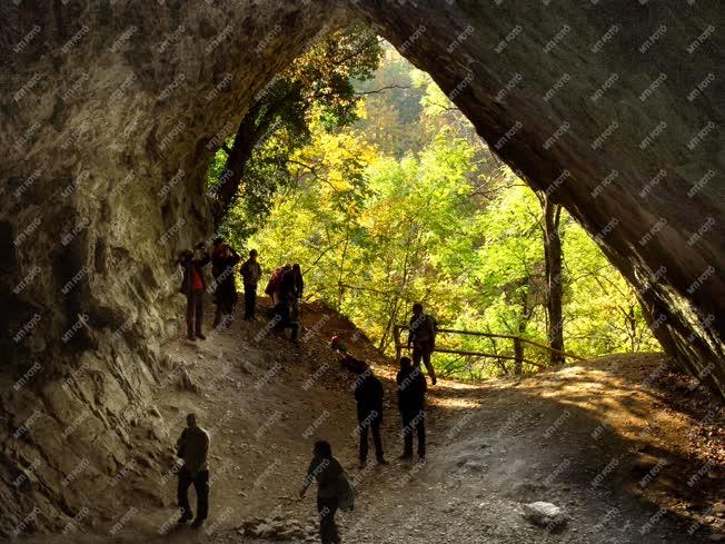 Természet - Az istállóskői ősemberbarlang