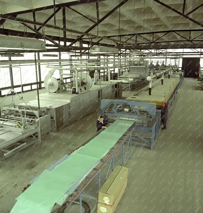Ipar - A Nitrokémia Ipartelepek fűzfői gyára