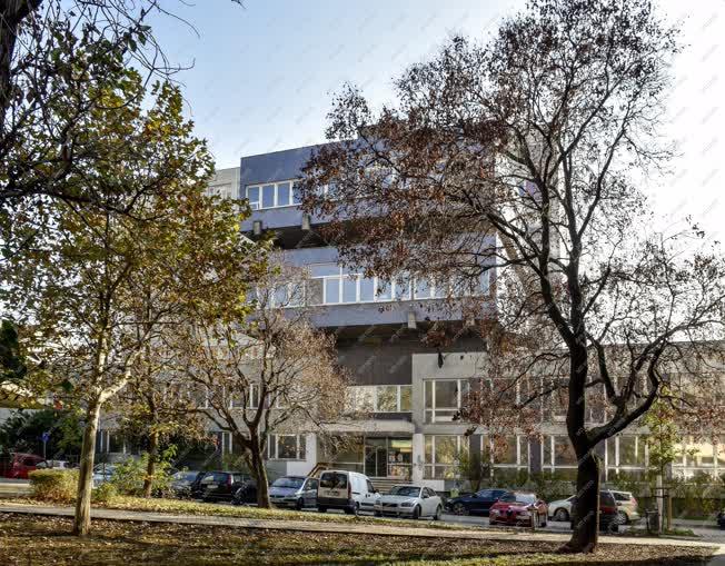 Épületfotó - Budapest - Semmelweis Egyetem Pulmonológiai Klinika 