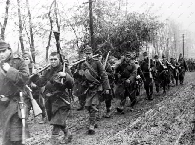 Történelem - II. világháború - Román hadsereg
