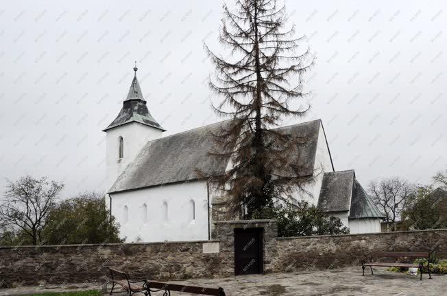 Műemlék -  A vizsolyi református templom