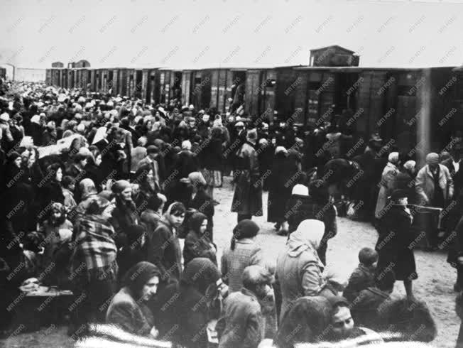 Holokauszt - Auschwitz - Koncentrációs tábor