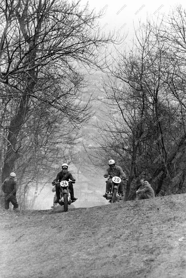 Sport - Motorverseny a Szabadság-hegyen