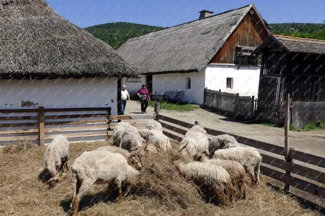 Skanzen - Szentendre - A nagykunsági állattartó tanya 