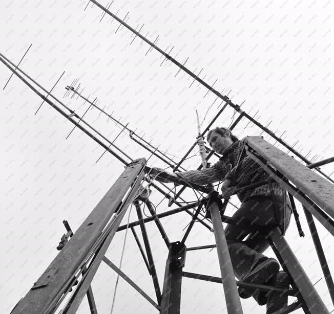 Technika - Hobbi - A tévéamatőr antennája