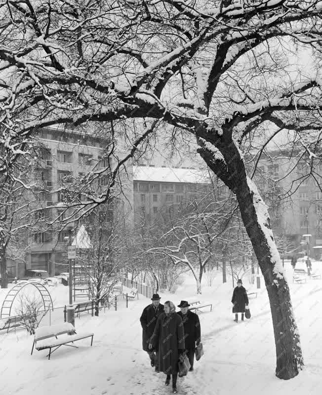 Városkép-életkép - Időjárás - A havas Mechwart liget