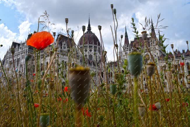 Városkép - Budapest - Parlament