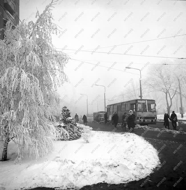 Városkép - Debreceni tél