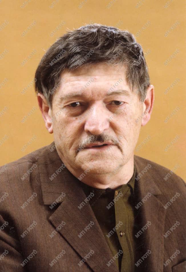 Fekete Gyula az MDF elnökségének tagja