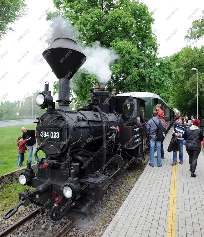 Közlekedés - Debrecen - Zsuzsi Erdei Vasút 