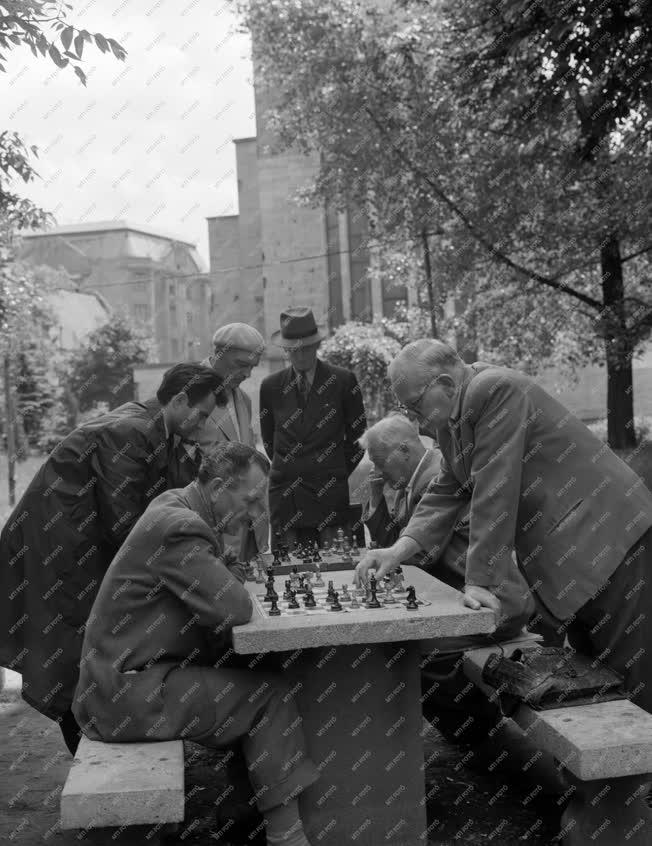 Szabadidő - Hobby - Sakkozók a Városmajorban