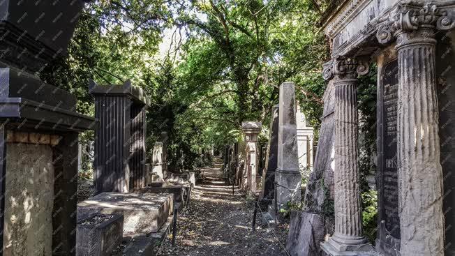 Temető - Budapest - Salgótarjáni úti Izraelita temető